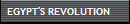 EGYPT'S REVOLUTION
