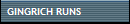 GINGRICH RUNS
