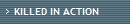KILLED IN ACTION