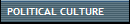POLITICAL CULTURE