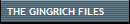 THE GINGRICH FILES