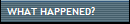 WHAT HAPPENED?