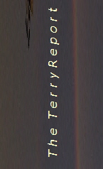 T h e  T e r r y R e p o r t